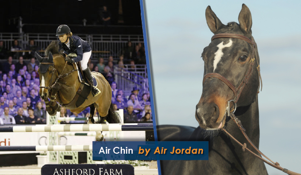 Air Chin par Air Jordan @ World of Show Jumping, Delaroque