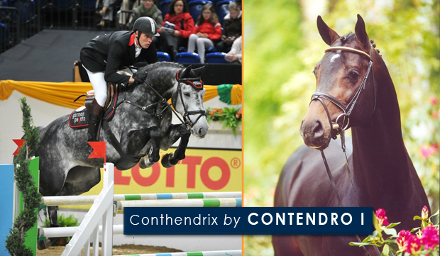 Conthendrix by CONTENDRO I